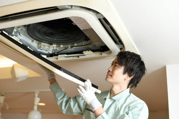 Best Air Duct Sanitizing Services  in Pender, NE