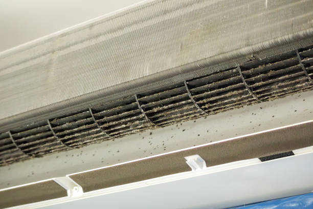 Best Duct Cleaning Specialists  in Pender, NE